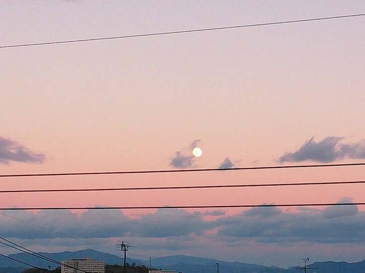 【画像】善本考香さん