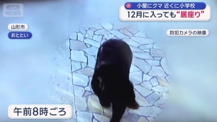 住宅の敷地内に入ってきたクマ