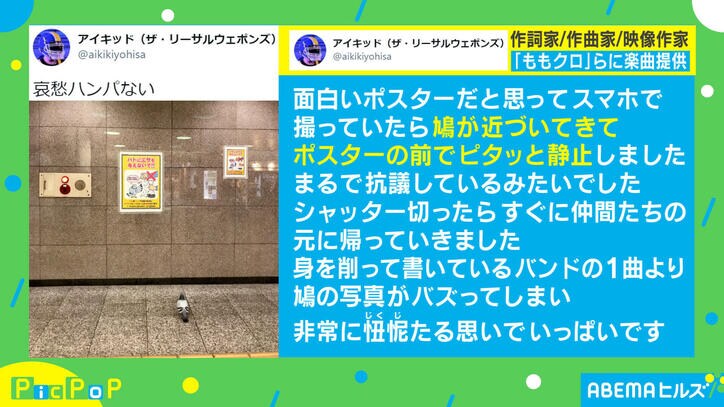 「バンクシーの絵みたい」ハトの視線の先には…? ポスターに書かれていた内容が切なすぎる