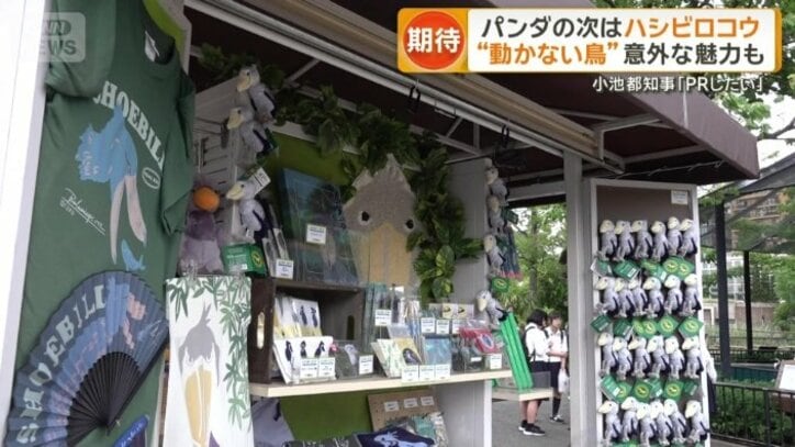 ハシビロコウグッズ