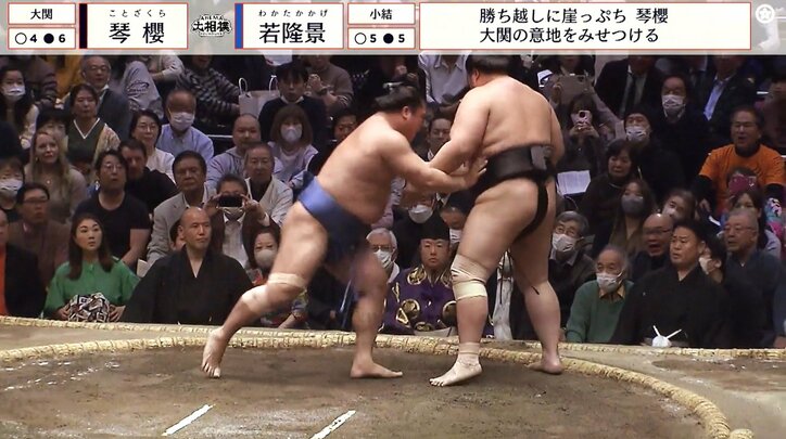 【写真・画像】　1枚目
