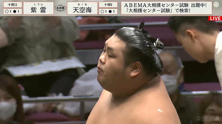 「頭も清めてる」「被っとるやないか」大量塩撒き力士、頭に塩が載るまさかの“雪化粧”でファン大ウケ