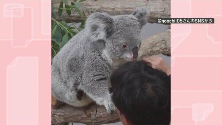 やっぱり動いちゃう