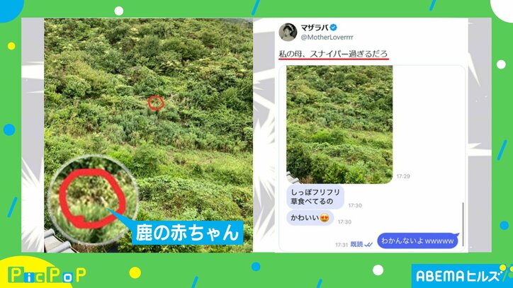 母親から送られてきた“衝撃の写真”