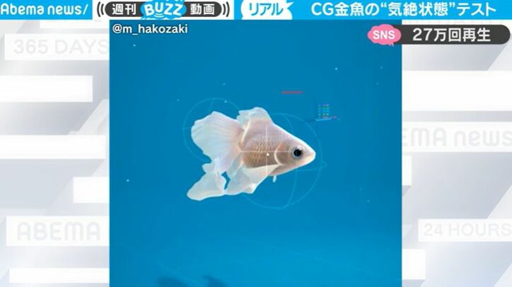 衝撃！ 1匹の金魚が泳いでいたら、突然気絶… 何があった！？  バーチャル金魚がリアルすぎるとネット上で話題に