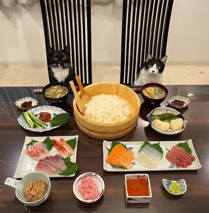  藤あや子、美味しすぎて食べすぎた夕飯を紹介「最高」「食べたい」の声 