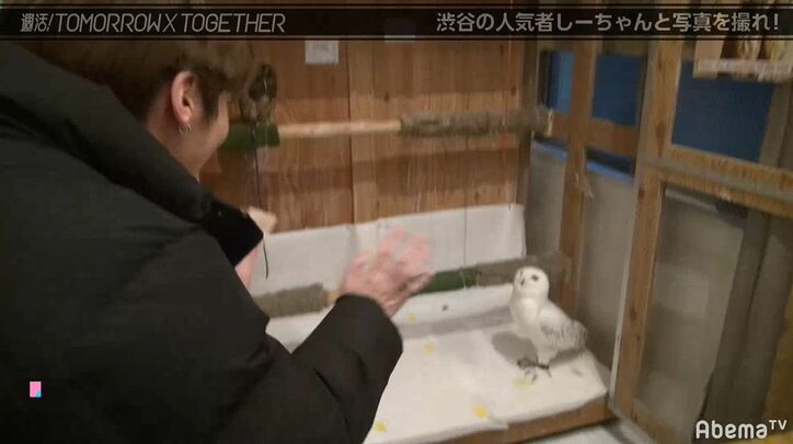 「誰が一番ハンサム？」TOMORROW X TOGETHERが渋谷で聞き込み調査！慣れない日本語にあたふた