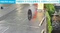宇都宮市 クマの出没相次ぐ 大学キャンパスでも