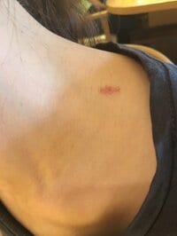 マック鈴木『あれ~~』