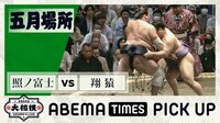【映像】あぁ腕が…照ノ富士の強烈な極め出し