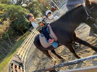 アレクサンダー『黒い馬さん❤️』