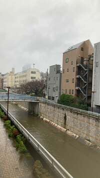 ダンカン『じんましんを超えて！』