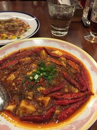 高橋真麻　連日のように麻婆豆腐を食べ続ける　独自の作り方も紹介