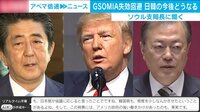 GSOMIA失効回避 ソウル支局長が日韓の今後を解説