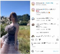 藤田ニコルの妖精のようにキュートなドレス姿に「ニコニコ天使」「背中が美しい」と称賛の声