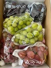 戸田恵子『やすんでなさい!』