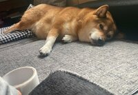 尾形あい『以前ホルモン検査をした時に』