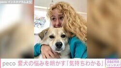peco、保護犬・アリソンが「けっこう本気で悩むくらいガウガウで」トレーニング開始を報告