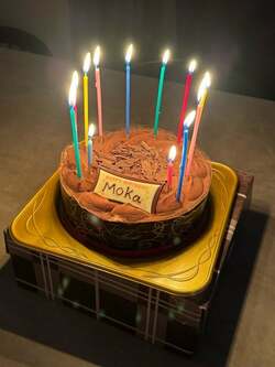  花田虎上、次女の誕生日をケーキで祝福「パーティーはまた後日です」 