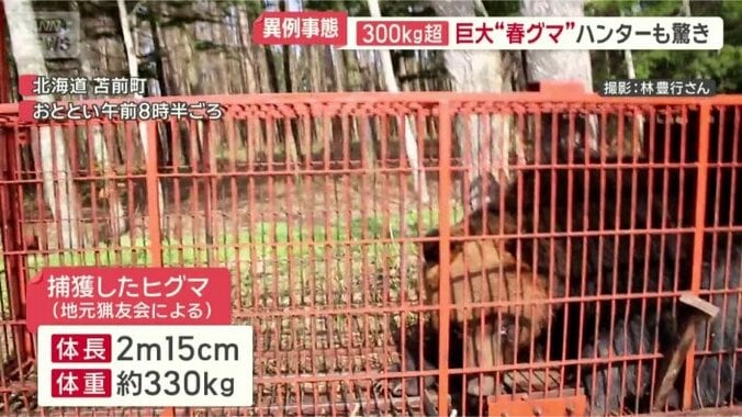 ベテランのハンターも驚くほどの大きさ