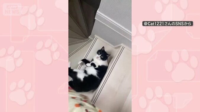 階段の上で寝転ぶ