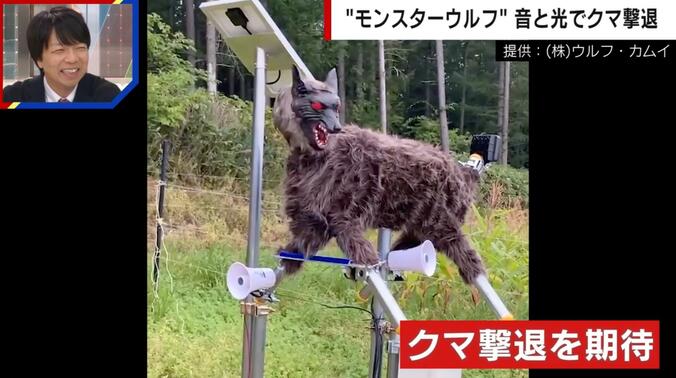 【写真・画像】「クマに一番効果がある」怖すぎる… “モンスターウルフ”がヒグマを追い払う瞬間 音と光で野生動物を撃退
