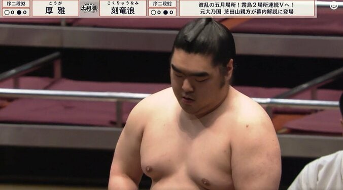 「すごい立派な眉毛」20歳の若手力士、“超キリリ”顔に反響 連続ズームに「表情アップ助かる」ファン歓喜 5枚目
