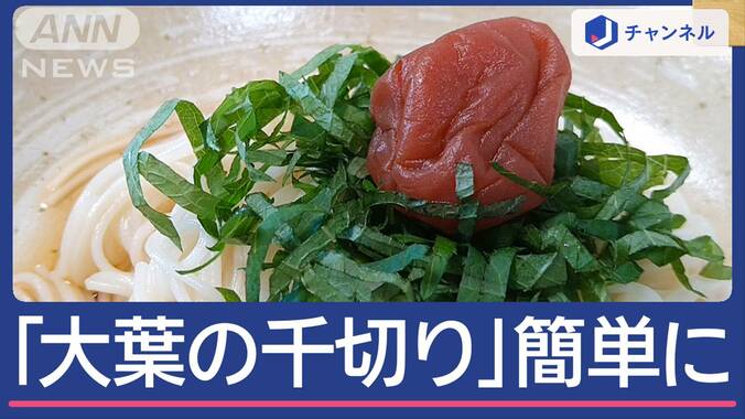 ひと手間＆口当たり良し　夏の料理に！　「大葉」の千切り簡単にできる方法 1枚目