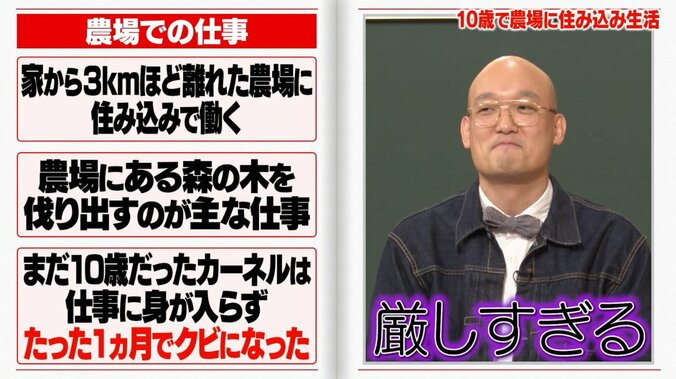 【写真・画像】福留光穂、AKB48卒業後の苦悩をぶっちゃけ「水着になることしか…」　2枚目
