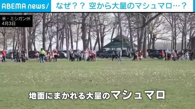 米・ミシガン州