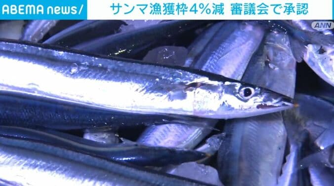 サンマ