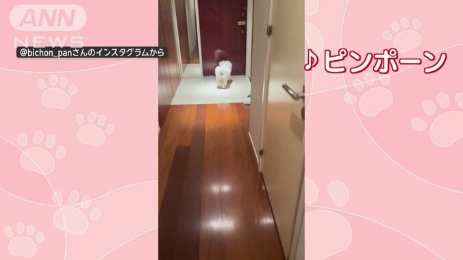 チャイムが鳴ると…