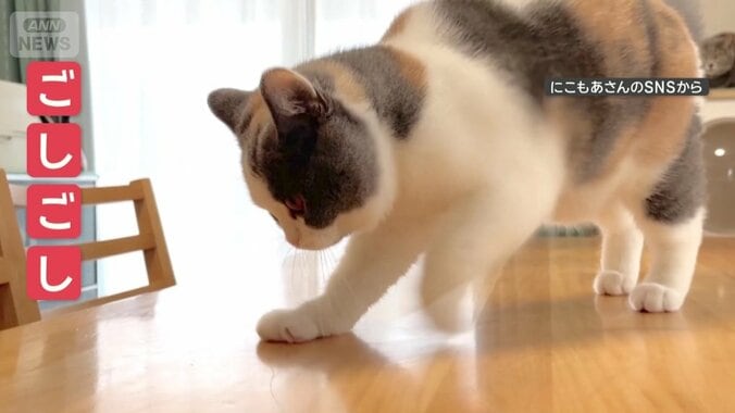 隅々までゴシゴシ