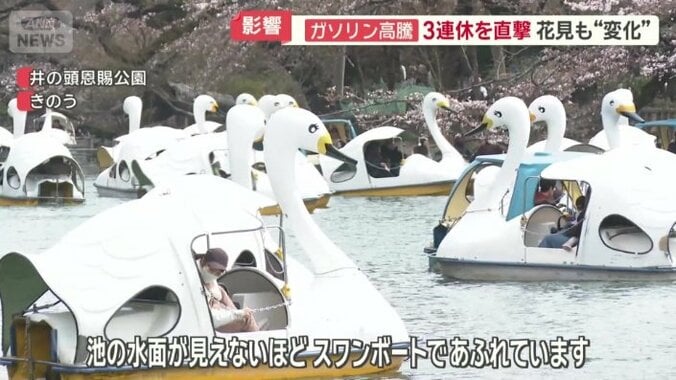 池はスワンボートでいっぱい