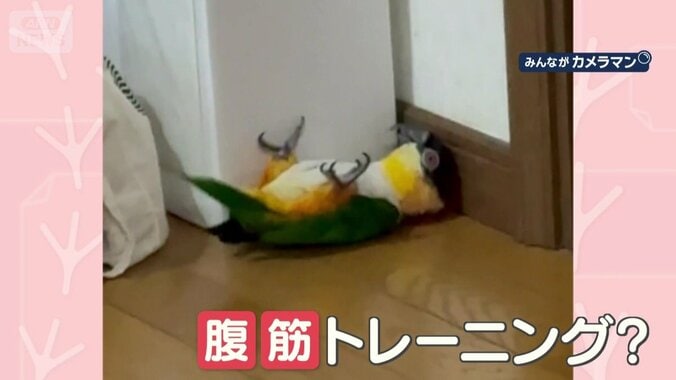 腹筋トレーニング？