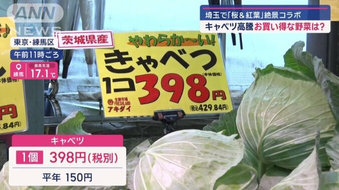 キャベツは1個税別398円