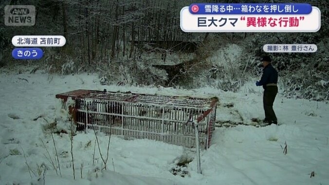 横に倒れている箱わな