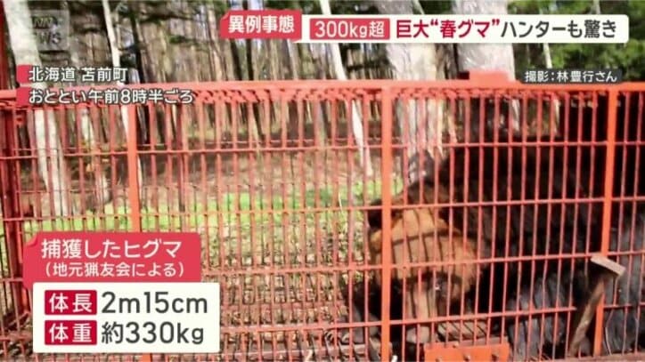 ベテランのハンターも、驚くほどの大きさ