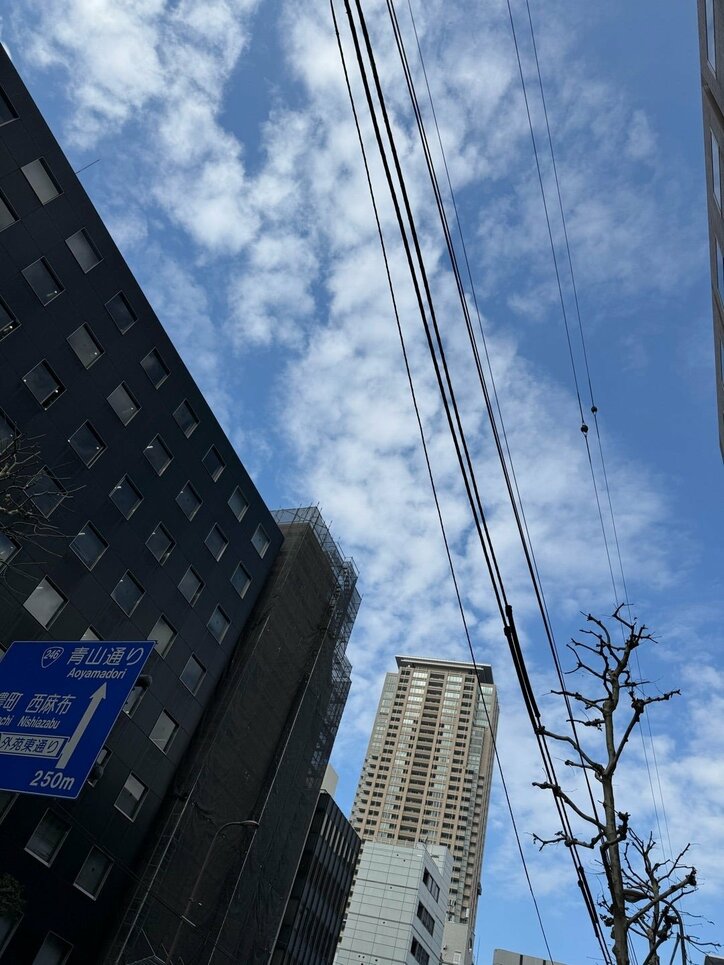 堀ちえみ ブログより