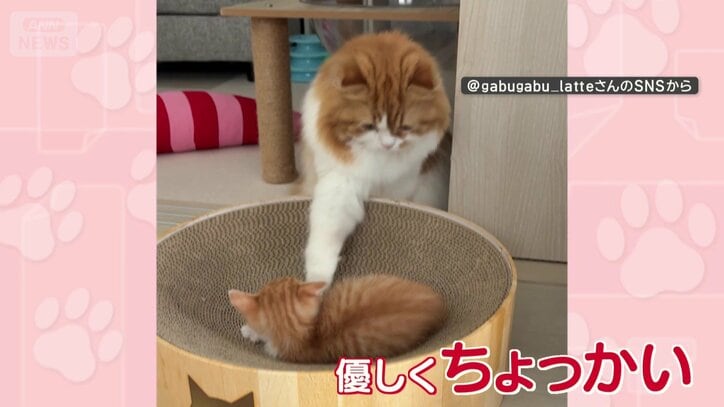 優しく…チョン