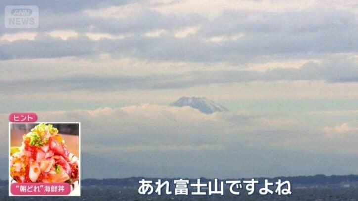 海の向こうに富士山が