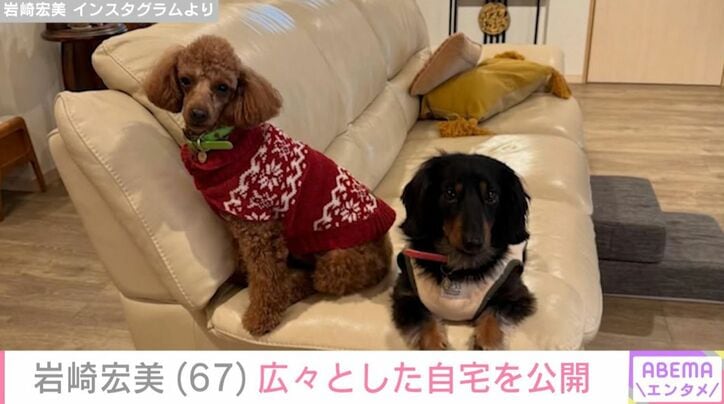 岩崎宏美の愛犬