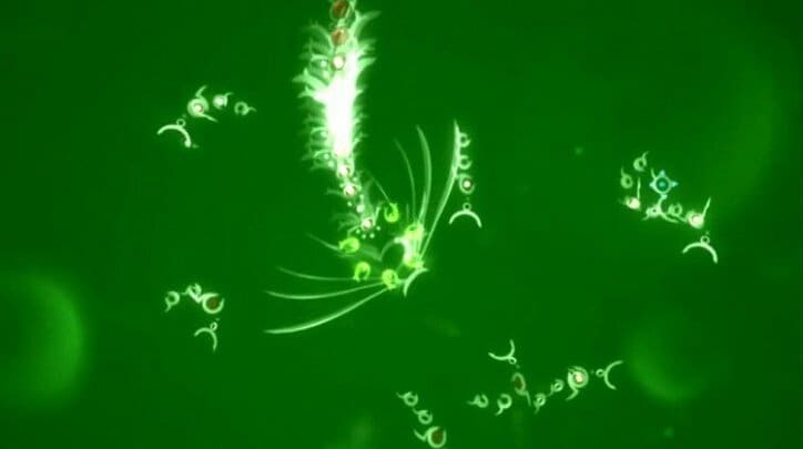 彼氏・彼女の前でプレイしても退屈させない、引かれない！厳選オシャレゲーム集