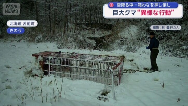 横に倒れている箱わな