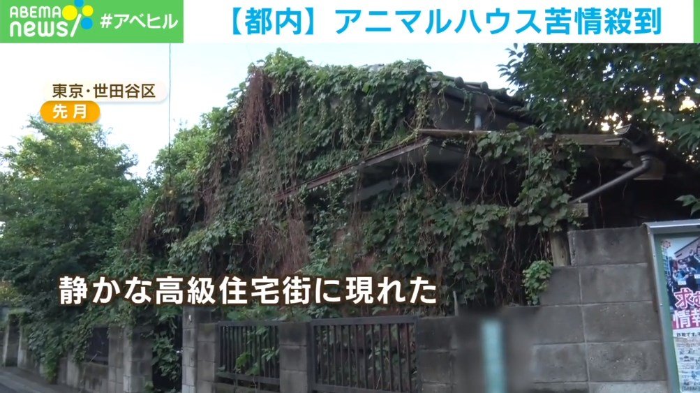 都心に現れた謎の廃墟群 アニマルハウス 蚊の大量発生に不審者出没 苦情殺到も管轄区が対応できないワケ Abema Times 都心の一等地に 謎の廃墟群 が広がって ｄメニューニュース Nttドコモ