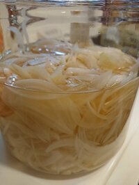 高橋英樹『タマネギの酢漬け』
