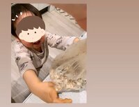 紺野あさ美『鯖バーーーグ!』