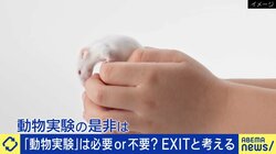 “お気持ち”が科学を止める？動物愛護で世界「最低ランク」の日本 動物福祉専門家「50年遅れている」、科学者「動物実験は不可欠」その是非は