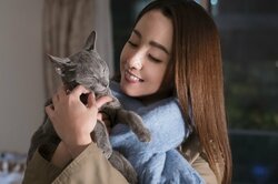日本映画で初の快挙！映画『猫は抱くもの』が上海国際映画祭（長編劇映画部門）のコンペティション部門に出品決定