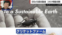 【独自】食用コオロギの会社が破産…その真相とは 経済ジャーナリストが分析「SDGsというきれい事だけではビジネスはできない。ベンチャー投資ブームが終わった」